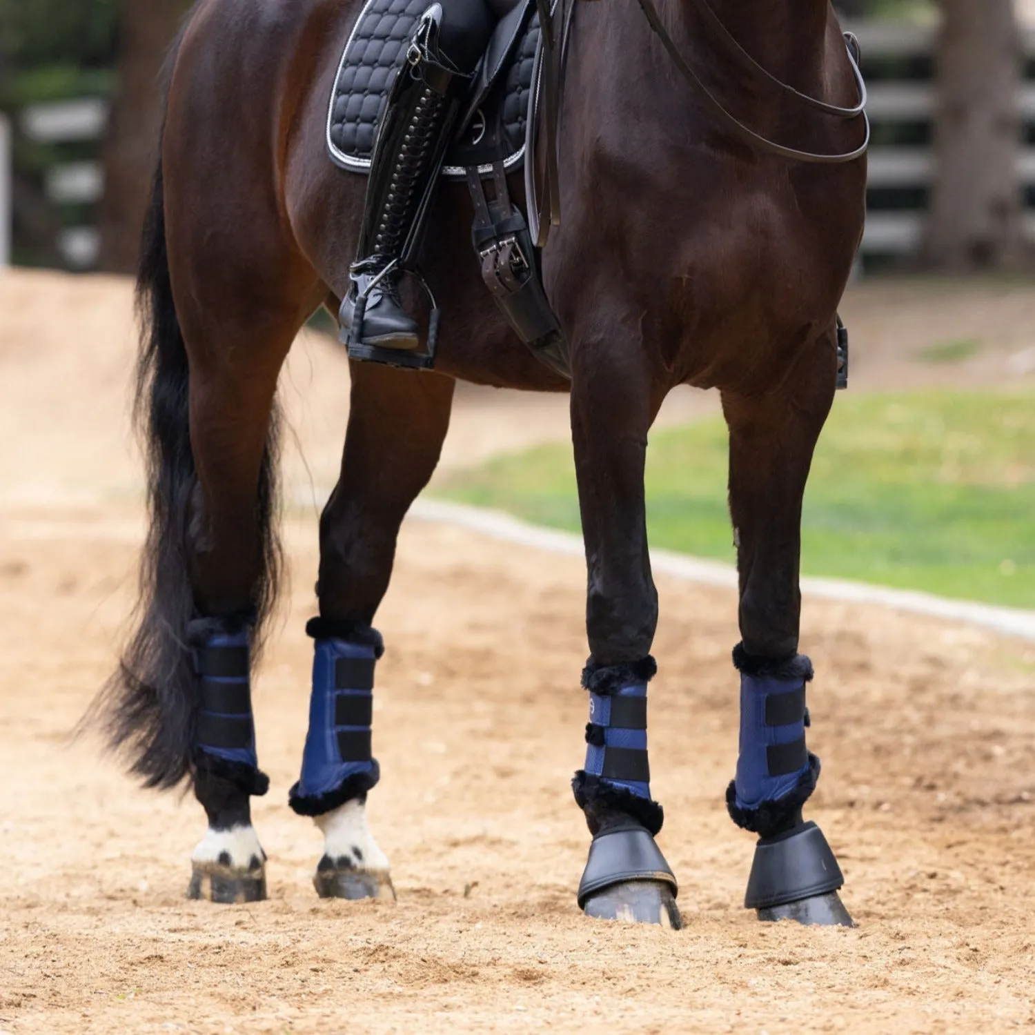 Halter Ego Brushing Boots - Royal Blue