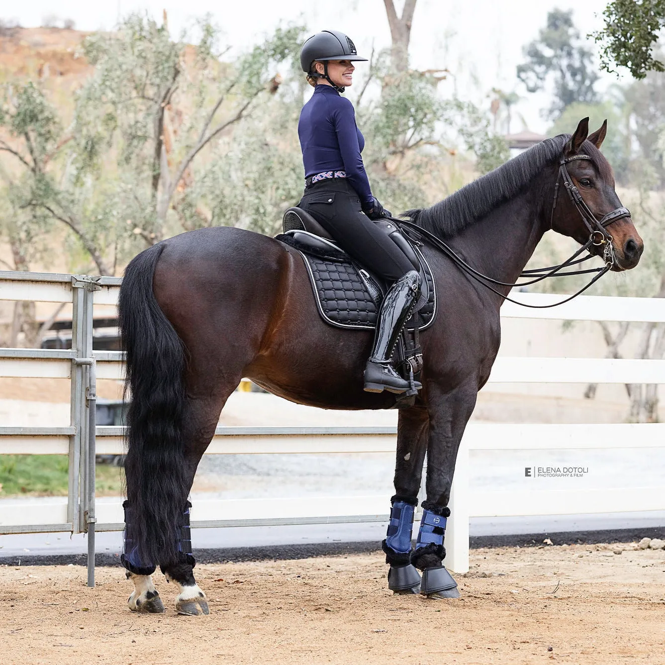 Halter Ego Brushing Boots - Royal Blue