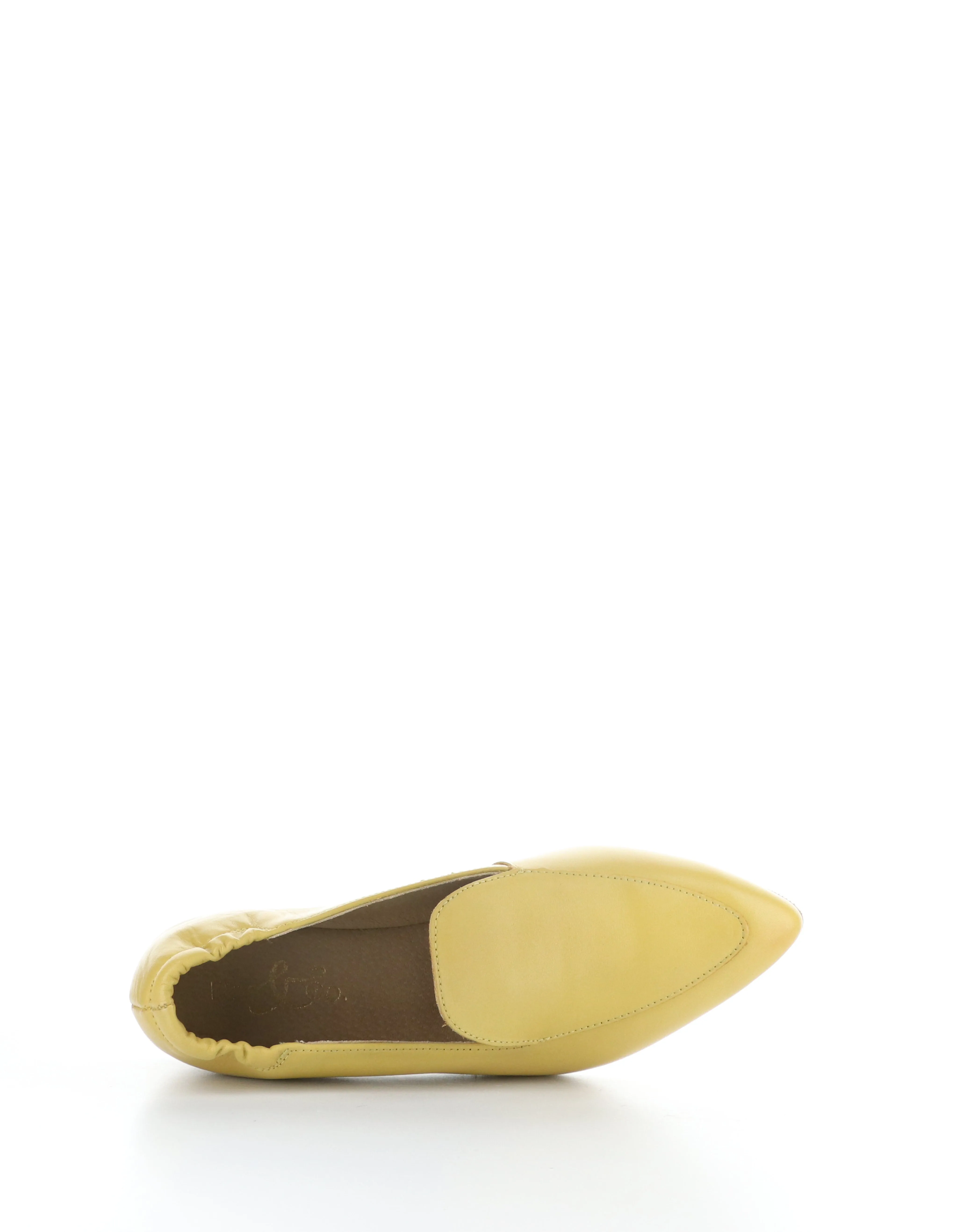 NIKKI OCRA Pointed Toe Shoes